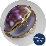 8318 - Polished Shell Purse - Purple Tiger Cowrie